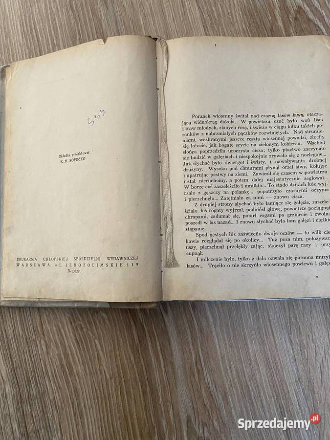 Stara Baśń łódzkie Sieradz