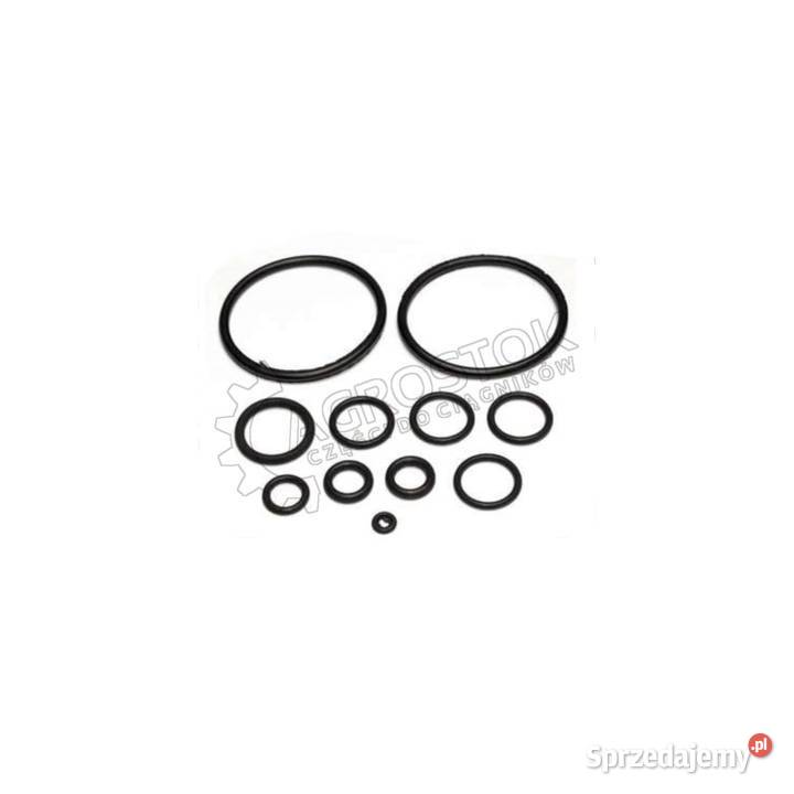 Komplet oringów regulatora r80