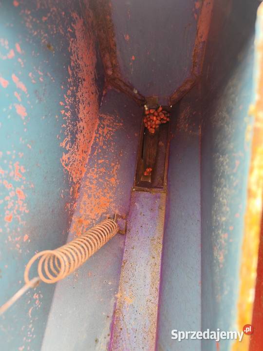 Siewnik do kukurydzy Chełm sprzedam