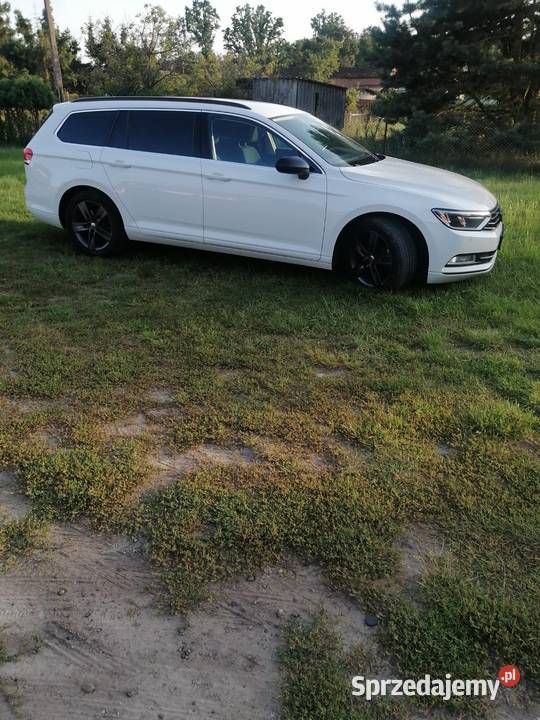 Volkswagen Passat nieuszkodzony Passat Police