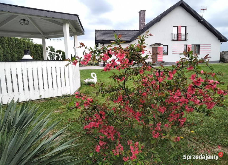 Dom jednorodzinny z poddaszem do adaptacji wolnostojący Podule