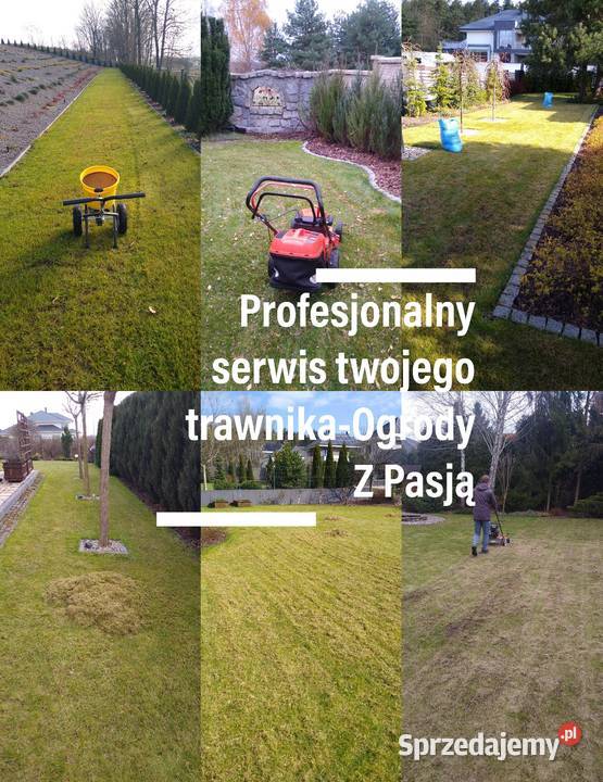 Ogrody trawniki systemy Nawadniające Usługi