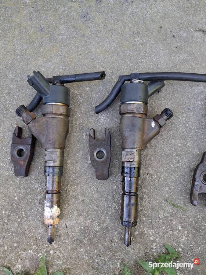 Komplet wtryskiwaczy Peugeot 206 SW 20 HDI osobowe sprzedam