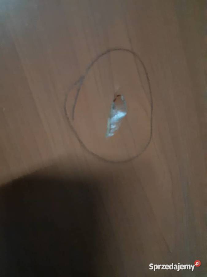 Skrzydło drzwiowe drzwi pokojowe 80L uszkodzone