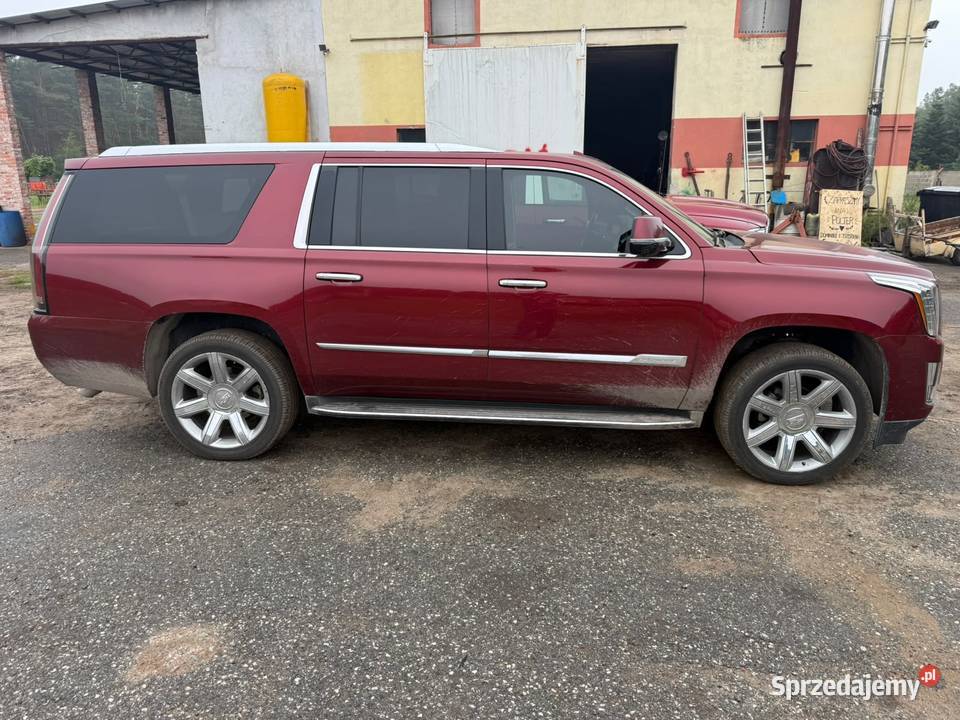 Cadilac Escalade Premium IV 2016 7 osób ESV 165 automatyczna Prądocin sprzedam