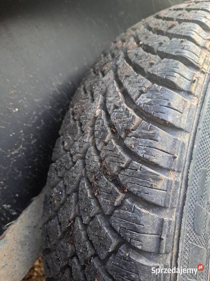 Przyczepka przyczepa do przewozu zwierząt koni Sadowie