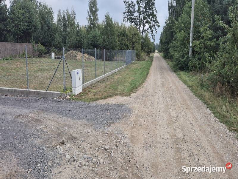 Syndyk sprzeda nieruchomości gruntowe Jachranka