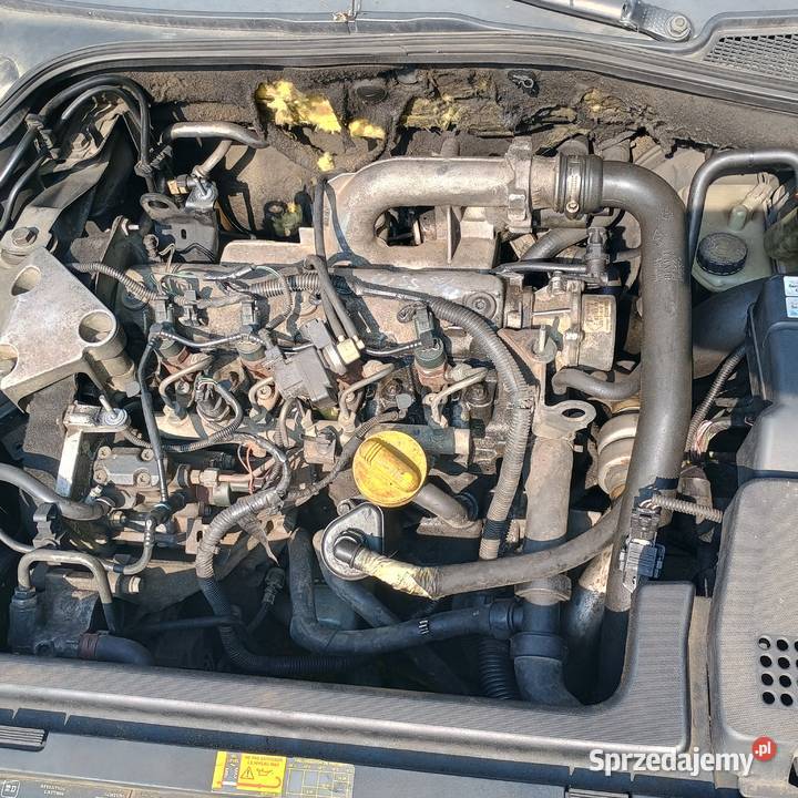 Silnik Renault 19 DCI Bychawa sprzedam
