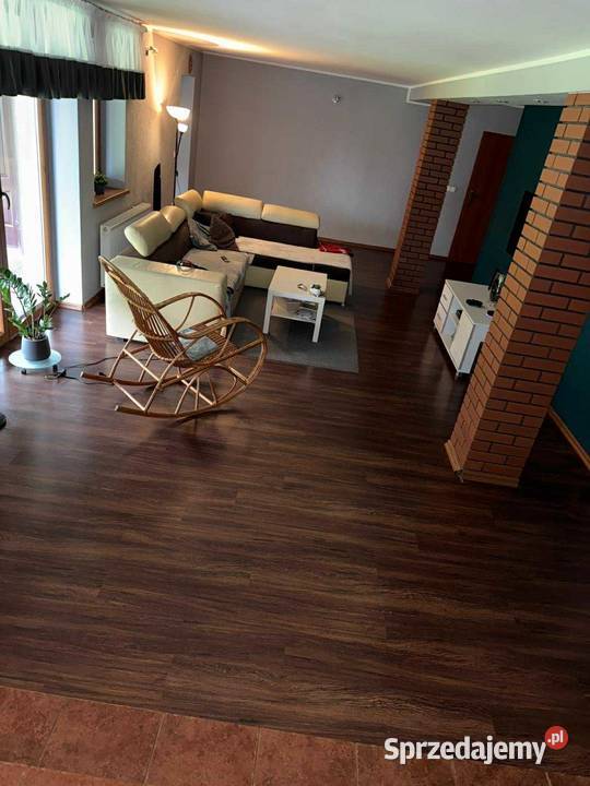 Nieruchomość Wola KoszuckaParcele Sprzedaż wielkopolskie Wola Koszucka-Parcele