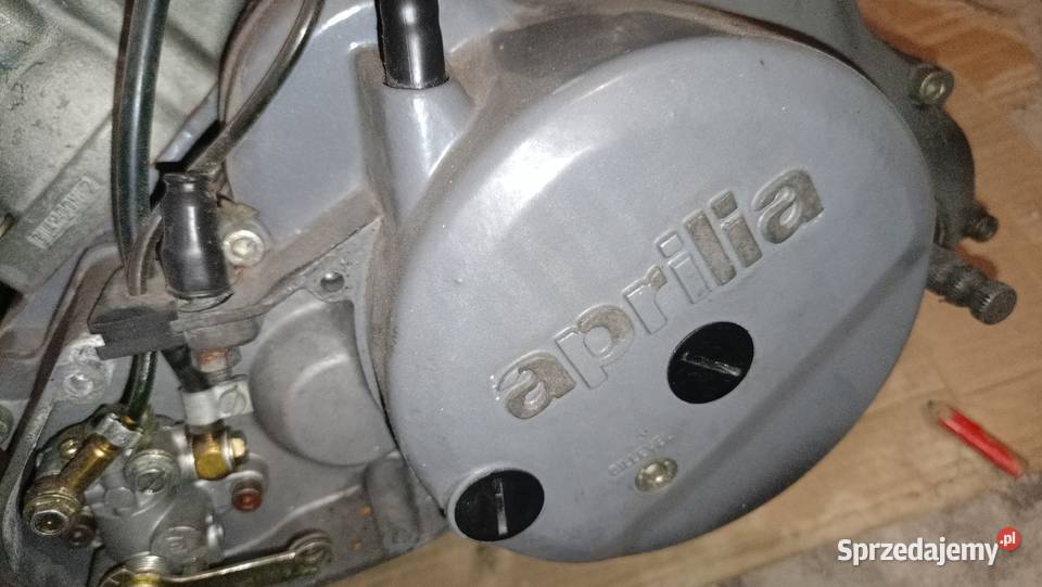 Wysprzeglik rotax 123 pegaso RX af1 Red rose Krynice