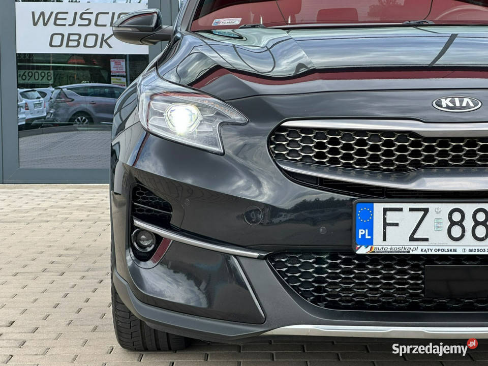 Kia XCeed Iręka Kamera LED Skóra Wirtual Kąty Opolskie