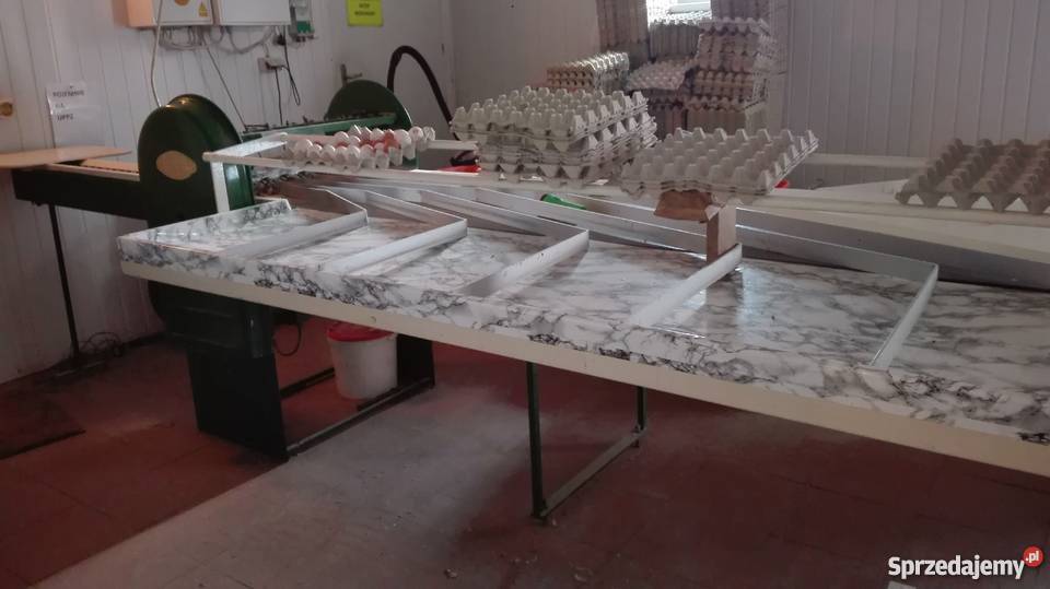 Sortownica do jaj jajek BENHIL Kożuchów