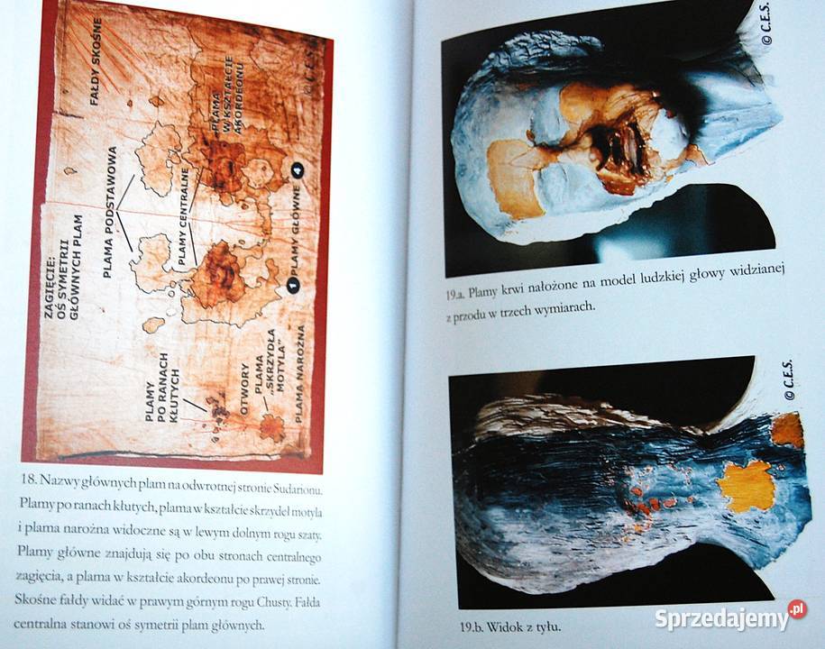 Święta chusta Święta Krew Tajemnica sudarionu z Lublin