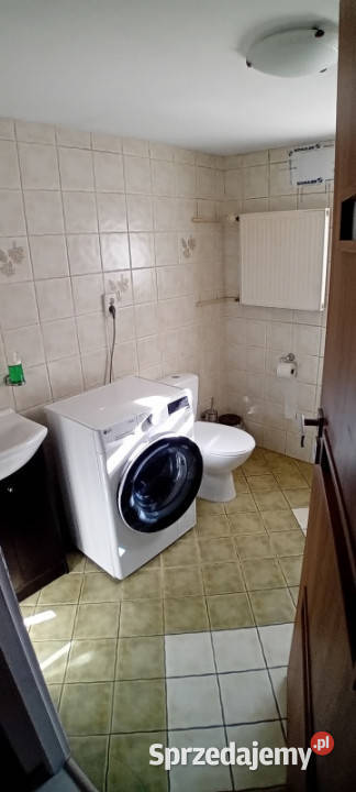 Dom 120m2 duża działka z potencjałem