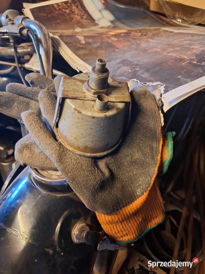 Pannonia 250 Ciechanów