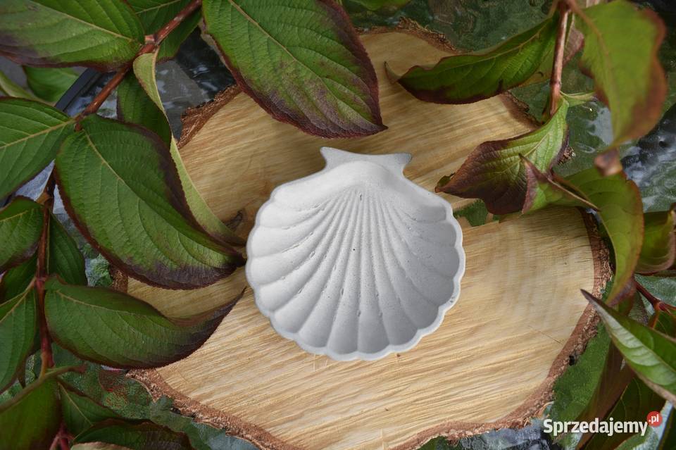 Muszelka betonowa Tłuszcz