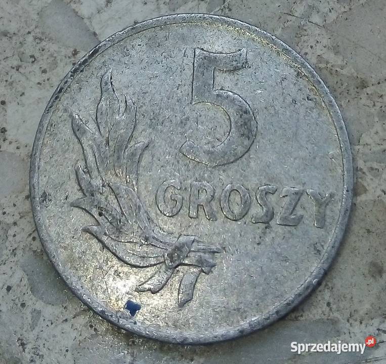 POLSKA 5 GROSZY 1949 rbzALRZADKA Kolekcje Legionowo