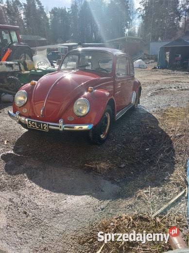 VW Garbus 1300 Ruby Red 1966 manualna Wrocław sprzedam