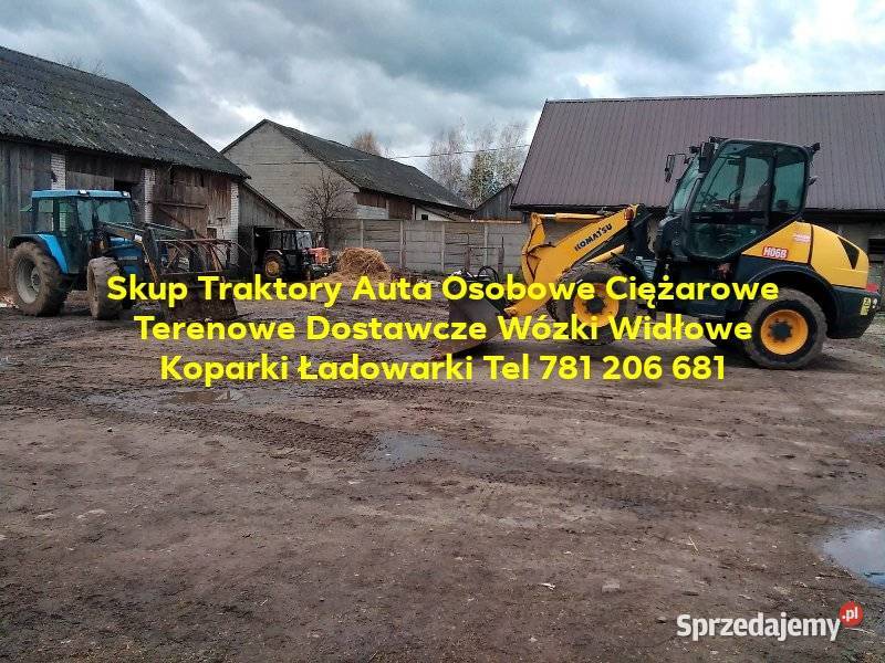 Iveco Daily Renault Mascott Fiat Mercedes Rok produkcji 2025 świętokrzyskie