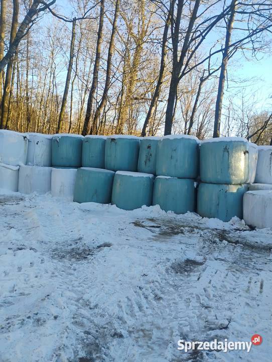 Sprzedam bele sianokiszonki Zaręby Kościelne