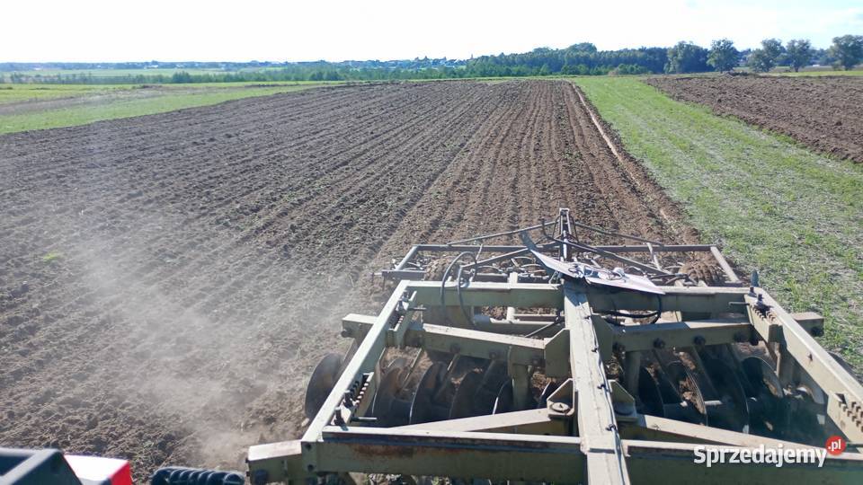 Talerzówka b402 pomorskie Karsin