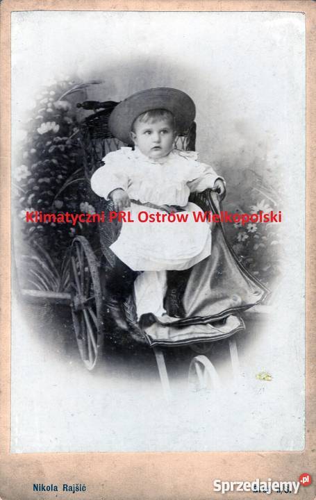 Stare zdjęcie kartonik foto Nikola Rajśić opis śląskie Bielsko-Biała