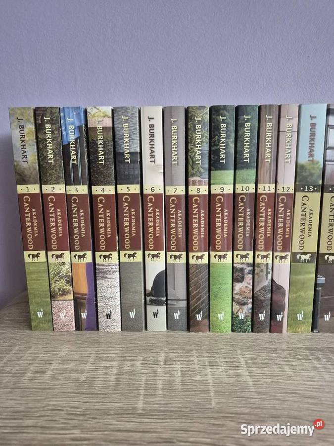 Seria Akademia Canterwood Jessica Burkhart 20 miękka