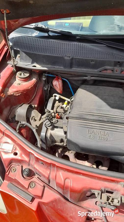 Lancia Ypsilon Sprzedam autko idealne na dojazdy benzyna Kościan