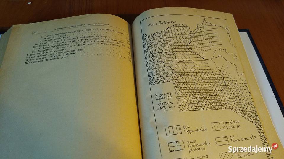 Pierwotny zasiąg zasięg języka Gdańsk