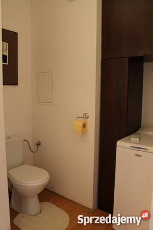 Botanik 2 pokoje TBS lubelskie Lublin