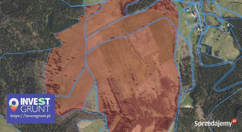 7761 ha przetarg na dzierżawę gruntów rolnych Pasterka