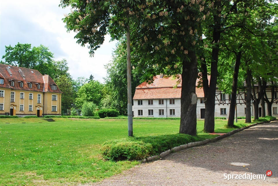 sprzedaży lokalu Wałbrzych 5000m2 5000m2 dolnośląskie