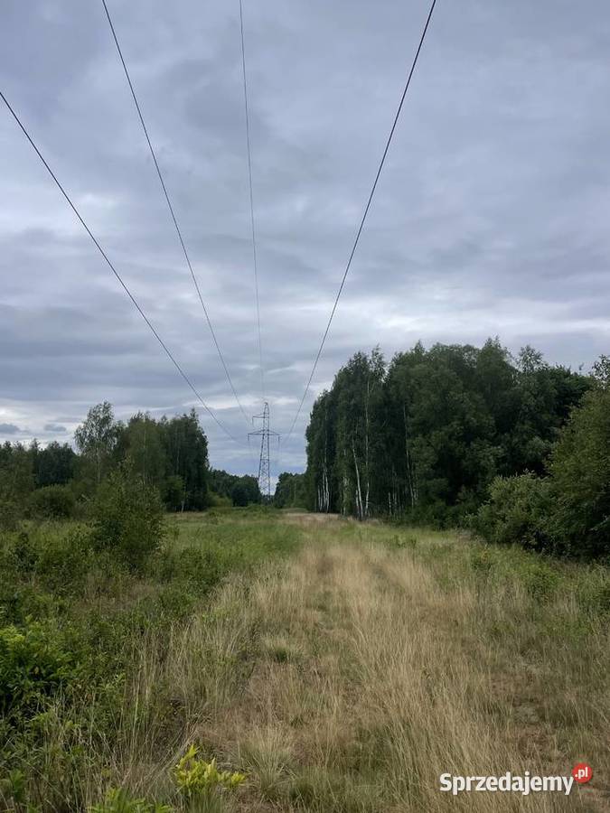 Sprzedam działkę rolną 170ha zostań rolnikiem Skruda