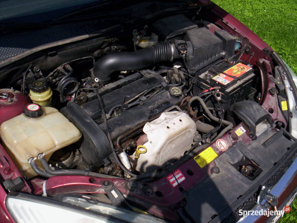 FORD FOCUS MK1 Linka Gazu 18 16V 20 16V ORYGINAŁ Częstochowa