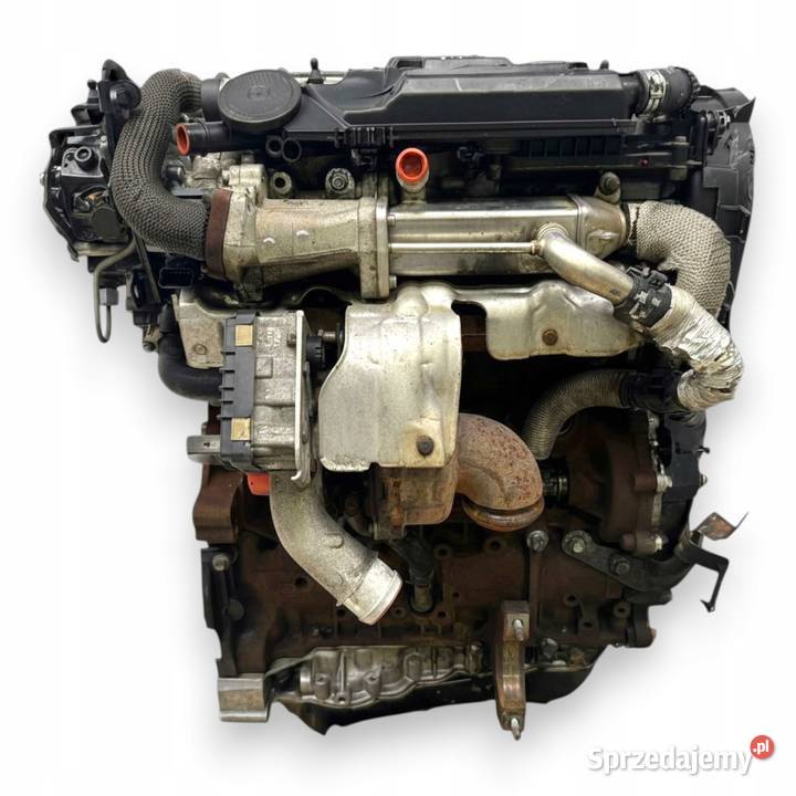 SILNIK Q4WA Ford Galaxy II MK2 S 22 TDCI 175 osobowe lubelskie Chełm