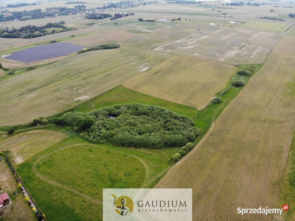 Działki przemysłowe PSSE Sztum