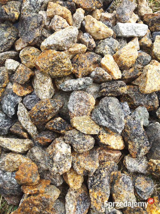 Grys gnejs złotoczarny świętokrzyskie Micigózd