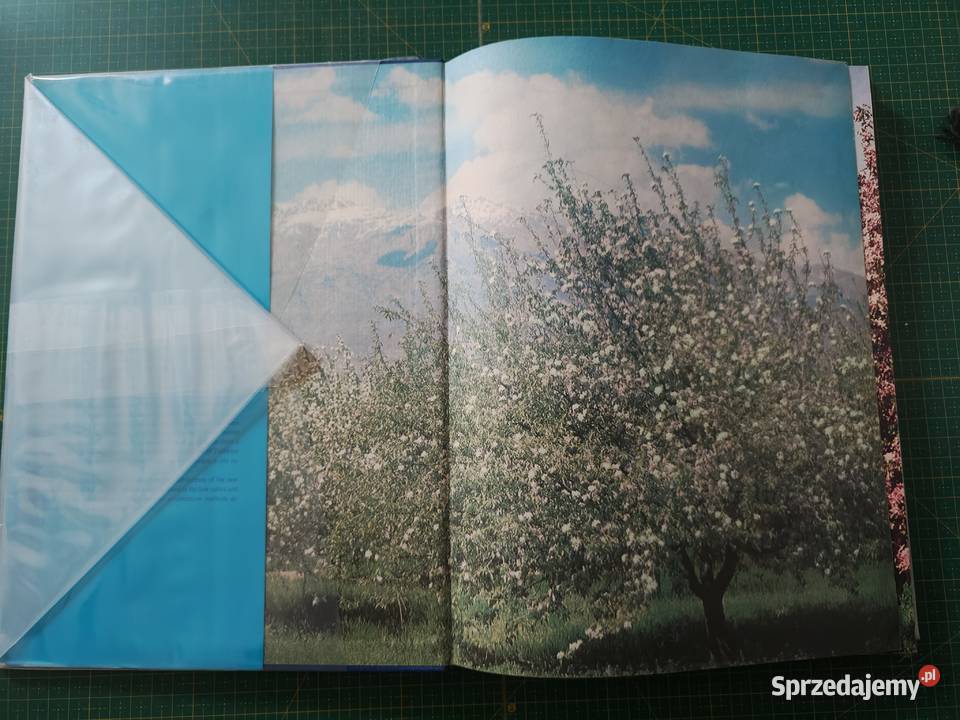 Tashkent j angielski twarda z obwolutą Mapy i przewodniki małopolskie