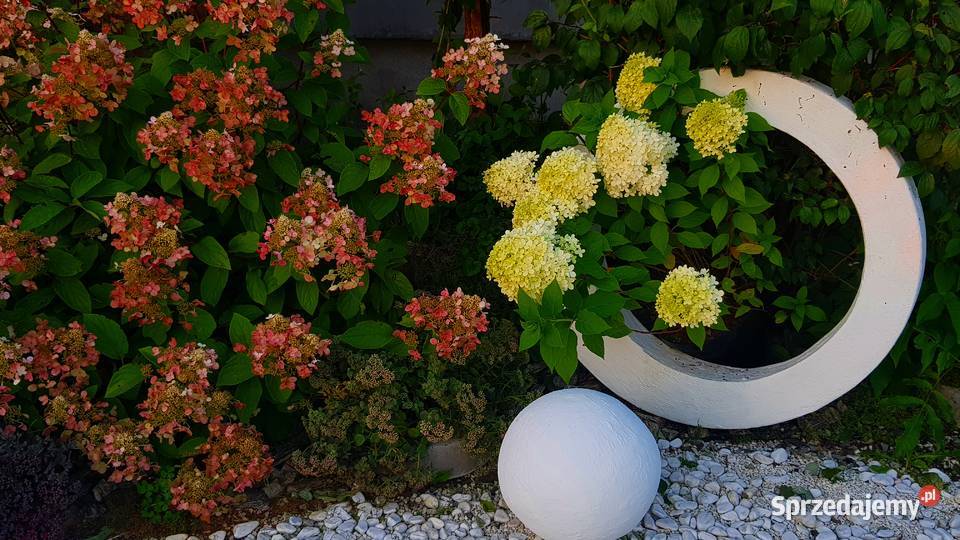 Koło Dekoracja do ogrodu Jaworze