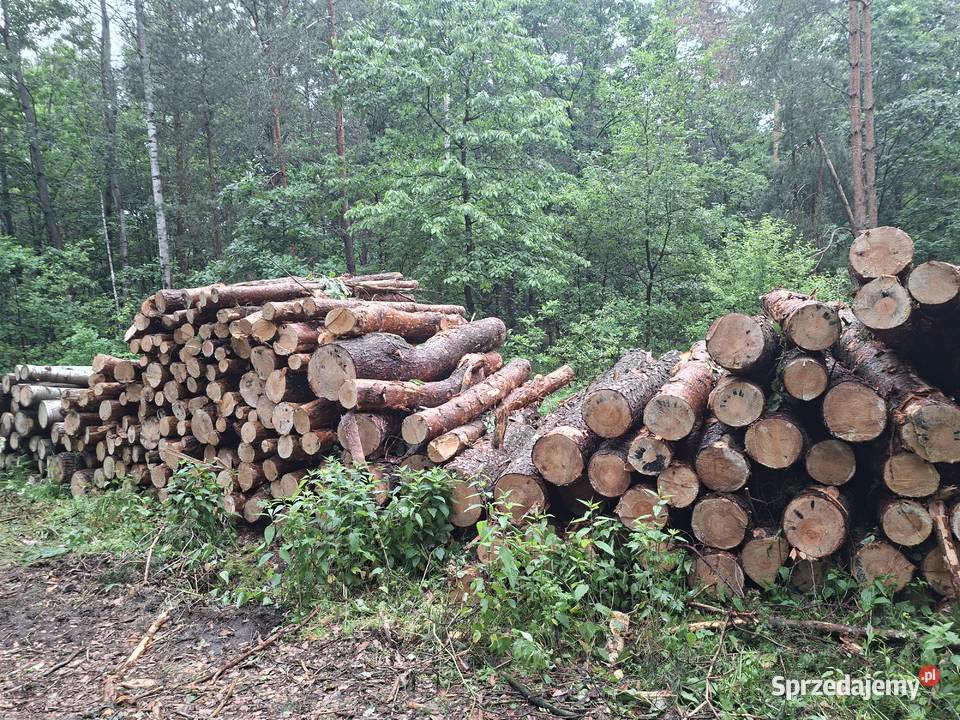 Drewno z czubow sprzedam Suchodół Włościański
