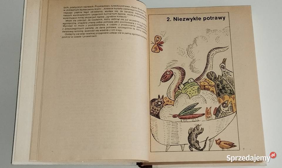 Przygoda kulinarna Katarzyna Pospieszyńska Poradniki, albumy i reportaże Warszawa