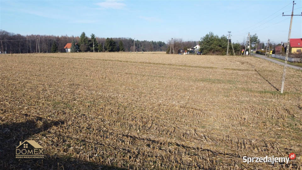 Grunt do sprzedania Dębowiec 1150m2 Sprzedaż