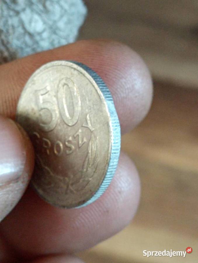 Sprzedam 50 gr 1996r destrukt koncowka blahy Numizmatyka Chełm sprzedam