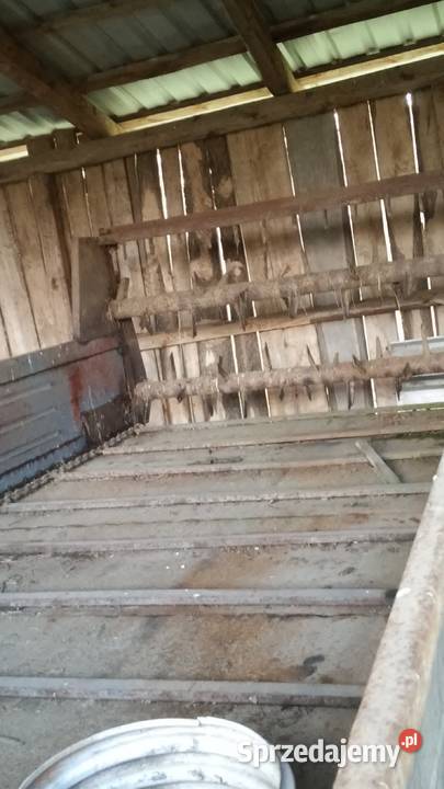 Rozrzutnik Obornika Jedno Osiowy Ciechanowiec
