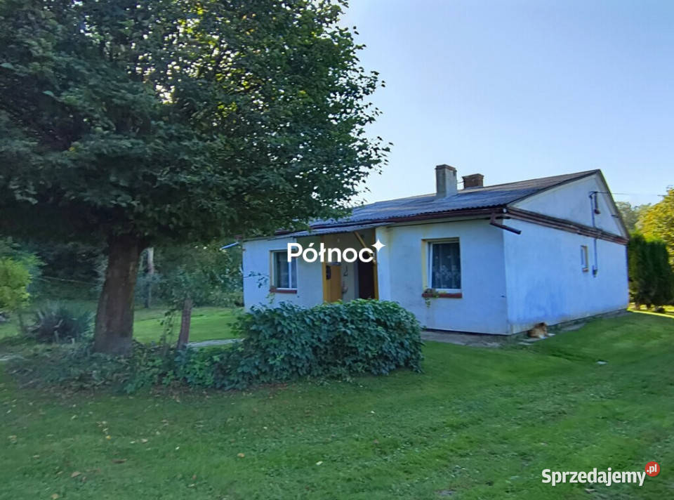 Siedlisko lesie w Skomorochach Dużych Skomorochy Duże sprzedam