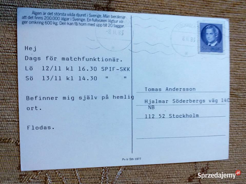 ŁOŚ SSAK KOPYTNY Z RODZINY JELENIOWATYCH Piszczac