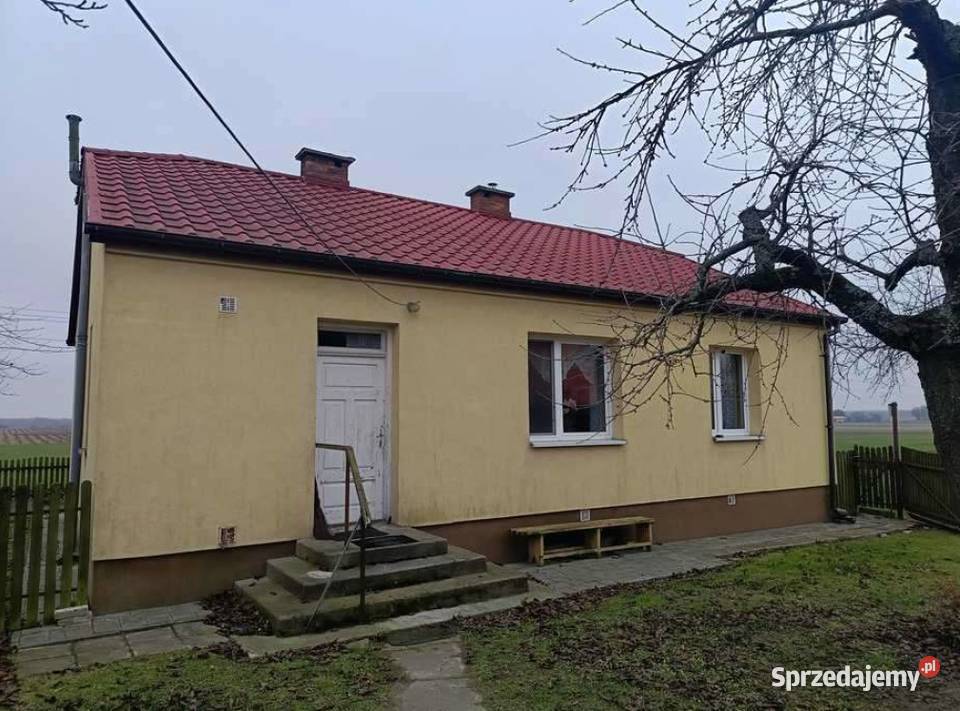 Bachus 9 Gospodarstwo 906 ha z budynkami
