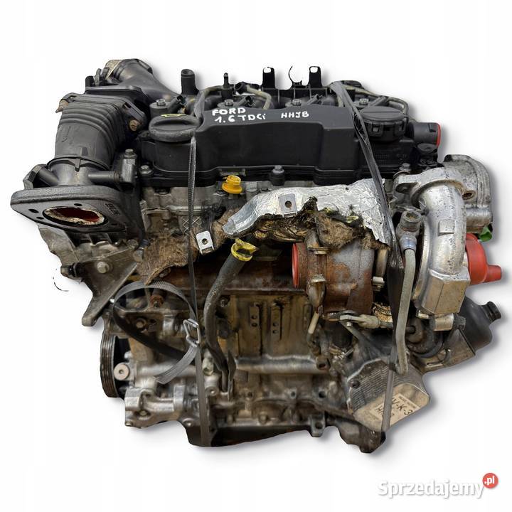 SILNIK KOMPLETNY HHJA HHJB Ford Fiesta VI MK6 16 Chełm