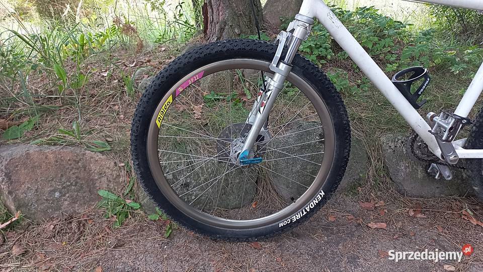 Profesjonalny Alu Rower Górski Mtb Sram 90 Rond Wołów