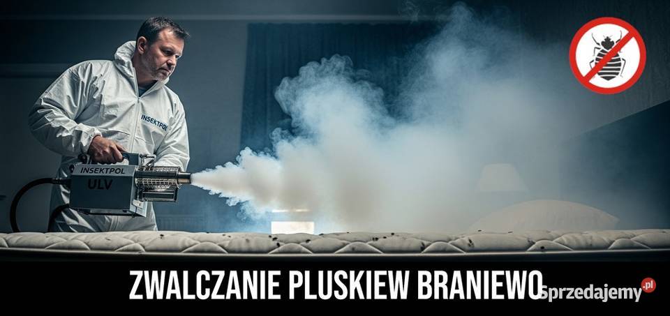 Zwalczanie pluskiew Braniewo Odpluskwianie Pisz